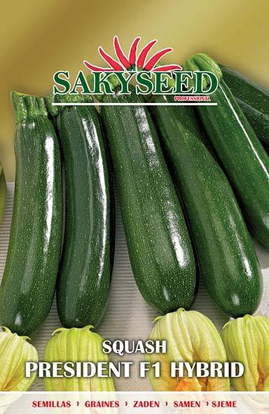 ZUCCHINO F.1 PRESIDENT NR.1000 SEMI